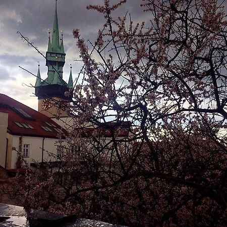 Althansky Palac Znojmo Exteriör bild